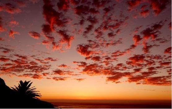 Cape Rose Cottage - Penthouse In Camps Bay Kaapstad Buitenkant foto